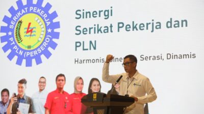 Family tour packages are coming soon