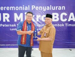 Dukung Sektor Usaha, BCA Salurkan KUR Bagi 200 Peternak Sapi