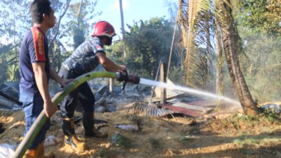 Kandang Berisi 3500 Ekor Bibit Ayam di Lembar Hangus Terbakar