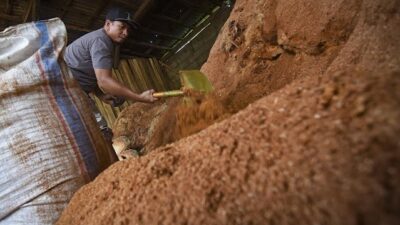 Hingga Juni 2023, PLN Manfaatkan 5.132 Ton Biomassa dalam Proses Co-Firing PLTU