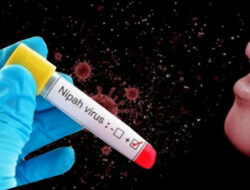 Virus Nipah Asal India Ancaman Baru di Tengah Pandemi Covid-19