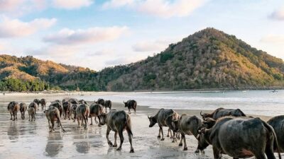 Lombok Tengah, Destinasi Wisata yang Menawarkan Pesona Pantai dan Budaya
