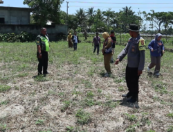 Bocah 7 Tahun di Lombok Tewas Digigit Anjing Liar