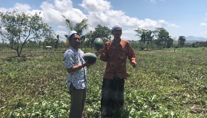 Inspiratif, Sulhan Muchlis Pelopori Gerakan Diversifikasi Pangan Berbasis Ponpes di Pulau Lombok