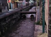 Balita 4 Tahun Hilang Terseret Sungai