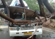 Cuaca Ekstrim, Bus Antar Provinsi Tertimpa Pohon di Bima