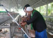 BI Dorong Peningkatan Ekonomi Syariah  Melalui Ekosistem Kemandirian Pesantren