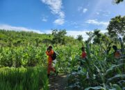 Dua Hari Hilang di Hutan, Usup Berhasil Ditemukan Keselamat