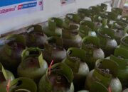 Antisipasi Permintaan Meningkat, Pertamina Kembali  Tambah Pasokan LPG 3 kg di Pulau Sumbawa