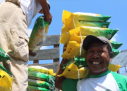 Bulog NTB Pastikan Stok Pangan Aman Jelang Ramadhan