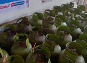  Pertamina Genjot Pasokan LPG 3 Kg di NTB, Atasi Kelangkaan di Sumbawa & Bima