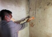 Ungkap Kematian Dugaan Gantung Diri, Polres Loteng Olah TKP