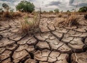 NTB Masuk Musim Kemarau, Waspada Kekeringan dan Kebakaran Hutan