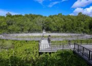 Tahura Ngurah Rai Siap Dikunjungi Delegasi World Water Forum ke-10