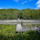 Pengunjung tengah berfoto di Kawasan Mangrove Taman Hutan Raya (Tahura) Ngurah Rai, Bali yang siap dikunjungi delegasi World Water Forum ke-10 di Bali/Foto: Agus Siswanto/InfoPublik