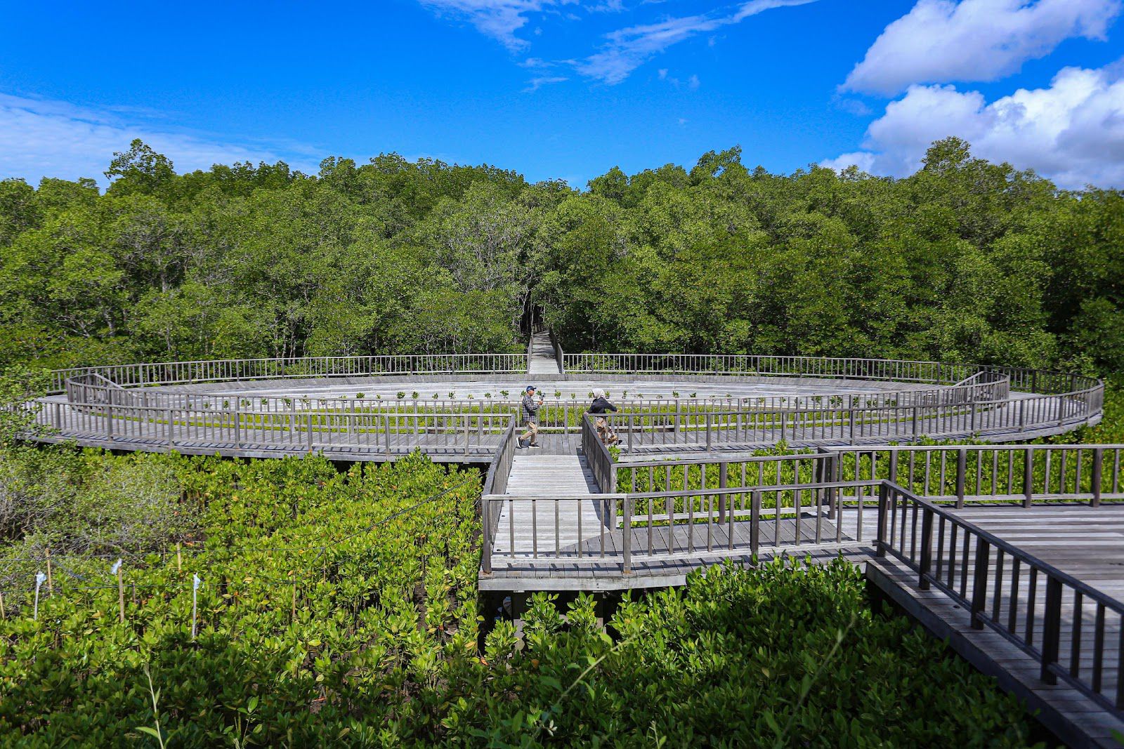 Pengunjung tengah berfoto di Kawasan Mangrove Taman Hutan Raya (Tahura) Ngurah Rai, Bali yang siap dikunjungi delegasi World Water Forum ke-10 di Bali/Foto: Agus Siswanto/InfoPublik