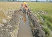 Kementan Genjot Produksi dan Indeks Pertanian Melalui Optimasi Lahan Rawa di Aceh Utara!