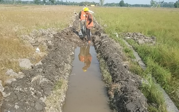 Kementan Genjot Produksi dan Indeks Pertanian Melalui Optimasi Lahan Rawa di Aceh Utara!