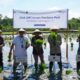 NTB Segera Tanam Padi Amphibi, Tingkatkan Ketahanan Pangan dan Kesejahteraan Petani