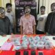 5 Pelaku dan 145 Bungkus Mashroom