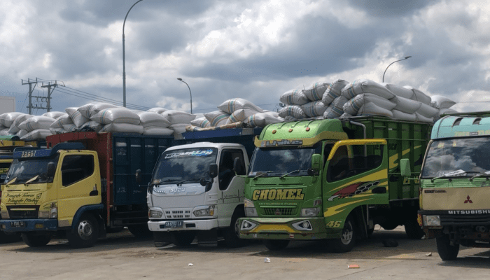 Harga Jagung Naik, Petani Sumbawa Berbondong-bondong Antre di CDC Bulog: “Lebih Bagus di Sini!”