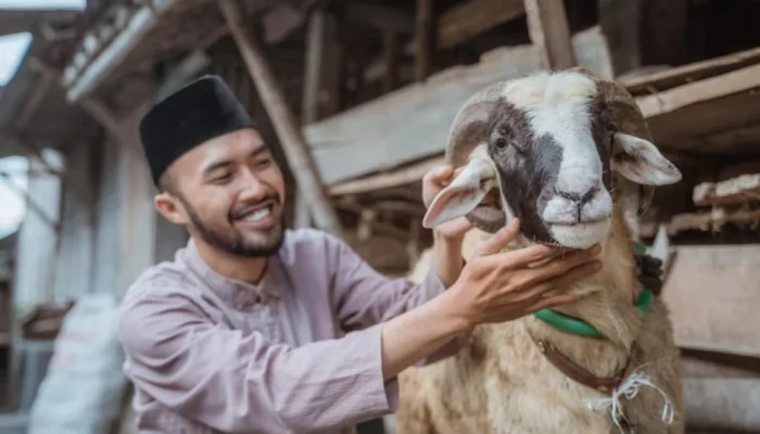 Panduan Penyembelihan Hewan Kurban Menurut Syariat Islam