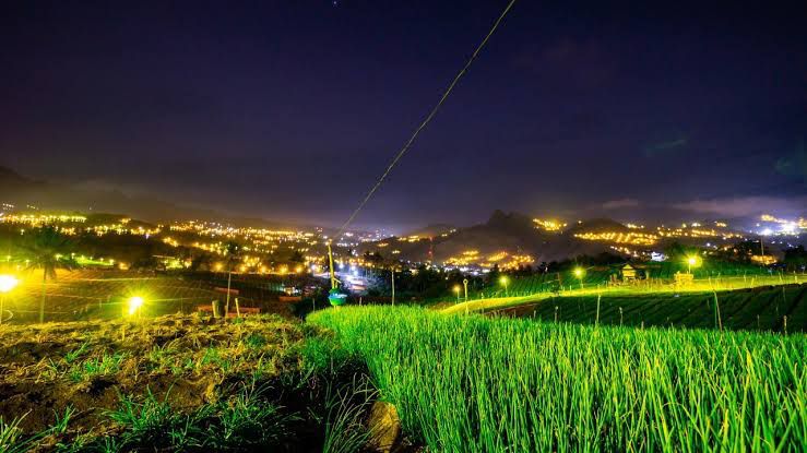 Electrifying agriculture dengan menggunakan lampu pada malam hari untuk meminimalisir hama yang dapat menghambat pertumbuhan tanaman sekaligus menjadi matahari buatan untuk mempercepat pertumbuhan tanaman pada kebun petani bawang di Kabupaten Enrekang, Sulawesi Selatan.