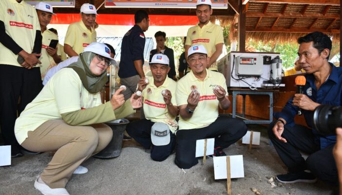Pertamina dan TCC Nipah Raih Penghargaan Kalpataru 2024 Atas Upaya Konservasi Penyu yang Gemilang