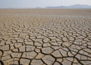 Lombok Timur Siaga Hadapi Musim Kemarau, Pemetaan Wilayah Kekeringan Dilakukan