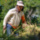 Nilai Tukar Petani di NTB Mengalami Kenaikan pada Juni 2024