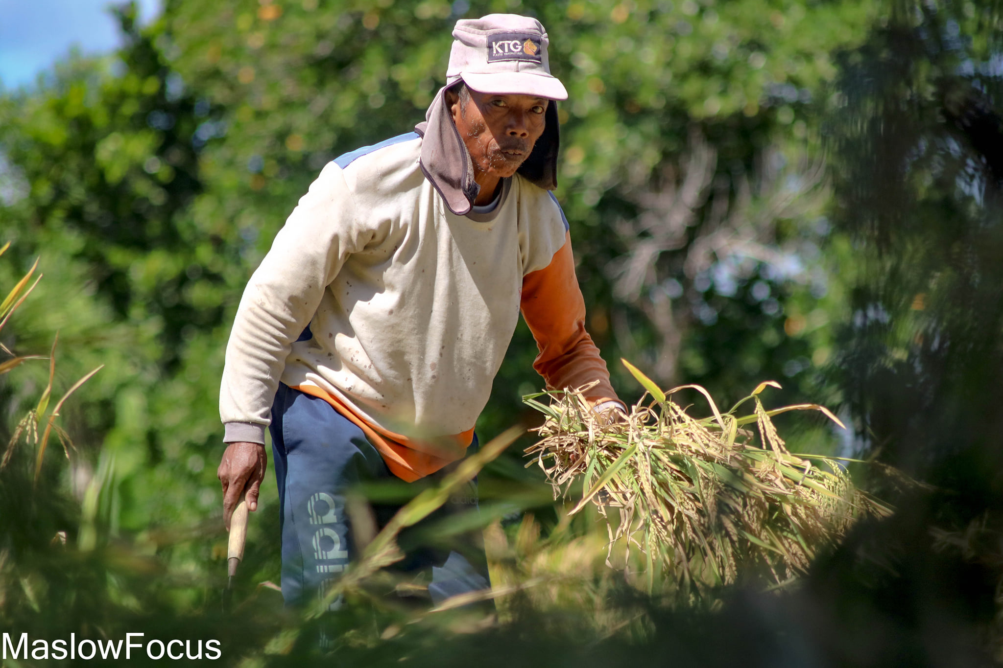 Nilai Tukar Petani di NTB Mengalami Kenaikan pada Juni 2024