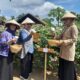 NTB Berpotensi Menjadi Sentra Produksi Kapas Nasional