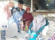 Bayi Laki-Laki Dibuang di Persawahan Sumbawa, Diduga Hasil Hubungan Gelap