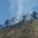 Kebakaran Melanda Kawasan Gunung Gedong Sembalun