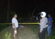 Polisi Ungkap Kasus Penemuan Mayat Bayi di Kebun Warga Lombok Utara