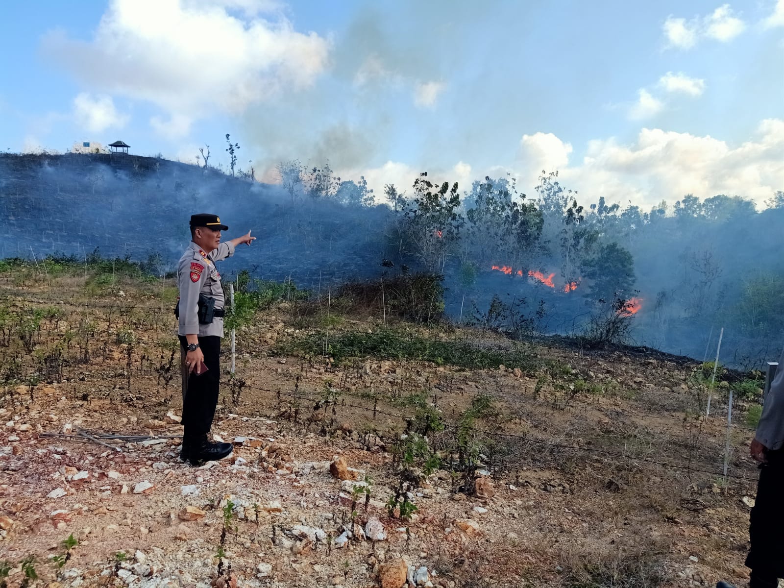 Kebakaran Hanguskan Lahan Persemaian Mandalika