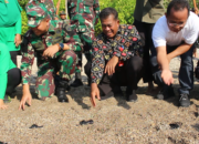 HUT ke-79 TNI: Kodim 1608/Bima Lepas Tukik dan Bersih Pantai