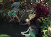 Ritual Daus Gong: Menyelami Warisan Budaya Sasak di Desa Wisata Bonjeruk