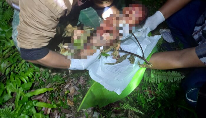 Tragis! Bayi Laki-laki Ditemukan Tak Bernyawa di Kebun Warga