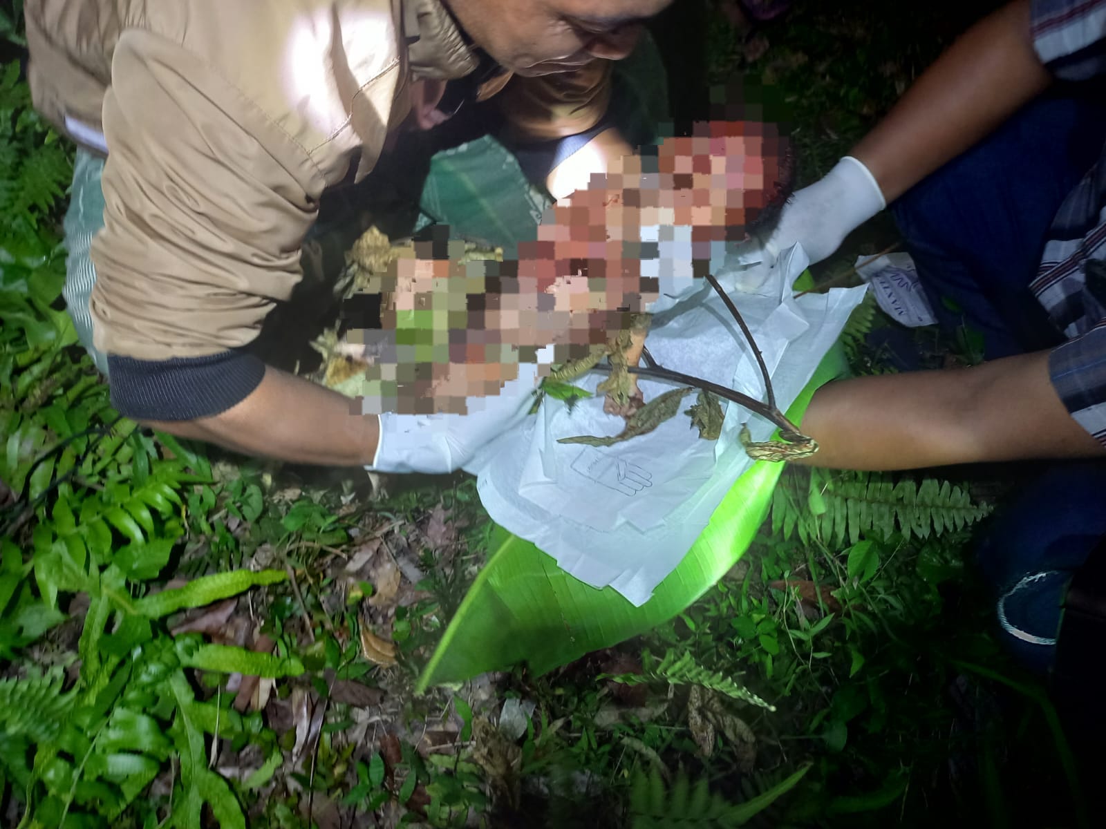 Tragis! Bayi Laki-laki Ditemukan Tak Bernyawa di Kebun Warga