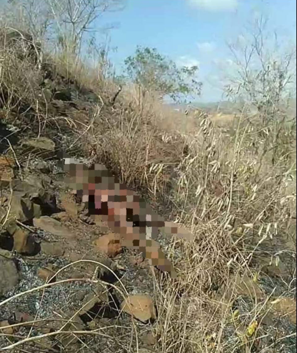 Berusaha Padamkan Api, Petani di Lombok Tengah Tewas Terbakar