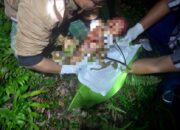 Bayi Tewas di Kebun Desa Pemepek: Kejahatan Ibu Kandung Terbongkar