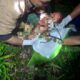 Bayi Tewas di Kebun Desa Pemepek: Kejahatan Ibu Kandung Terbongkar