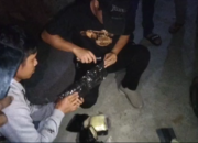 Polda NTB Ungkap Jaringan Narkoba, Tangkap Kurir di Lombok