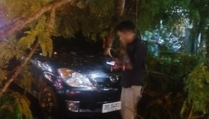 Pohon Tumbang di Jalan Sriwijaya: Daihatsu Xenia Tertimpa