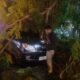 Pohon Tumbang di Jalan Sriwijaya: Daihatsu Xenia Tertimpa