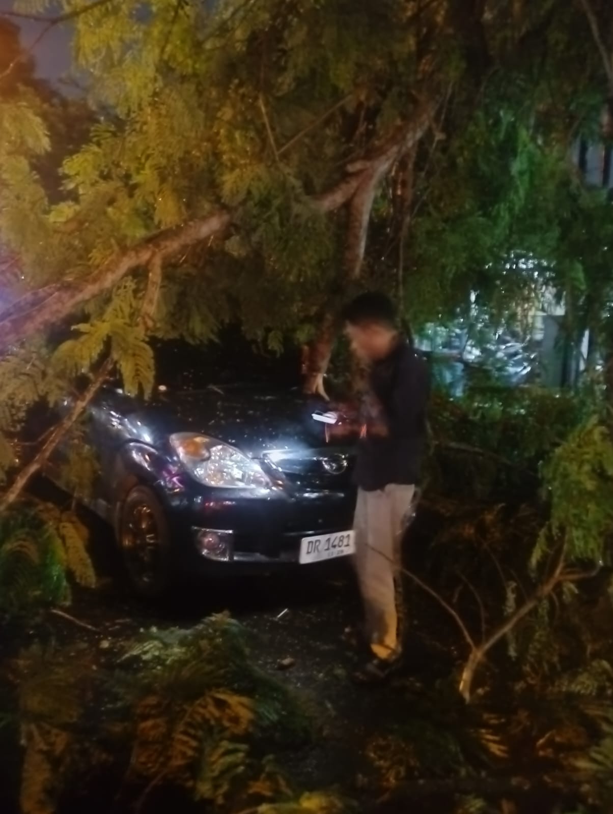 Pohon Tumbang di Jalan Sriwijaya: Daihatsu Xenia Tertimpa