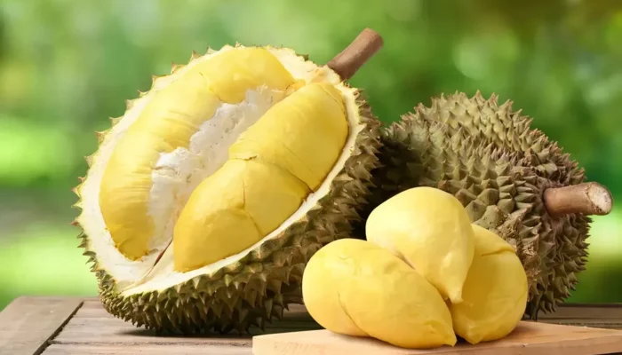 Menikmati Durian di Lombok: Rekomendasi Tempat Terbaik
