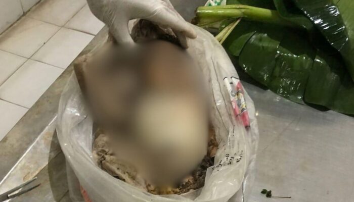 Bayi Laki-Laki Ditemukan Tewas di Kamasan, Diduga Dibuang dengan Luka Gigitan Hewan