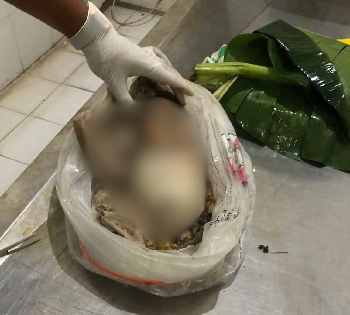 Bayi Laki-Laki Ditemukan Tewas di Kamasan, Diduga Dibuang dengan Luka Gigitan Hewan